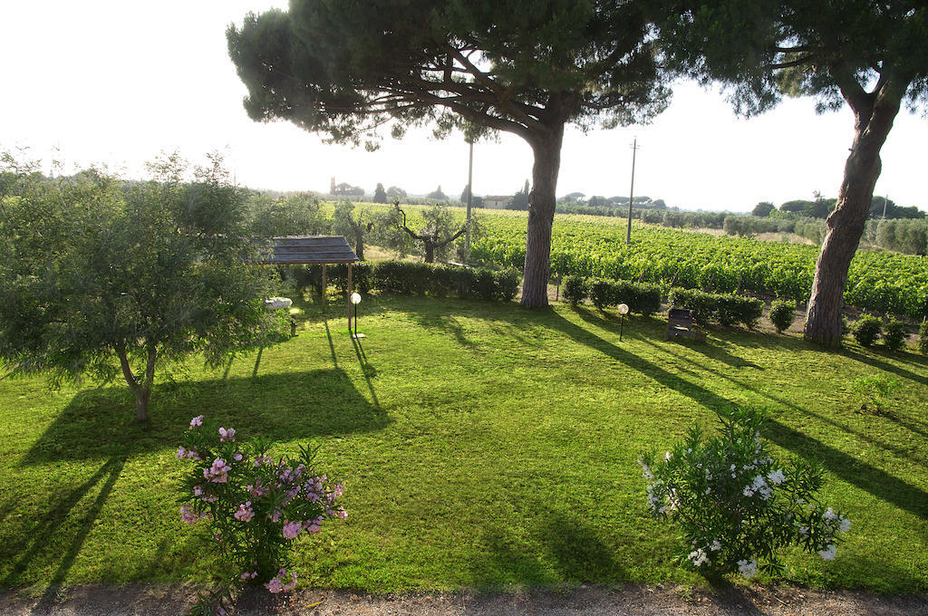 Agriturismo Quattro Pini Castagneto Carducci Zimmer foto