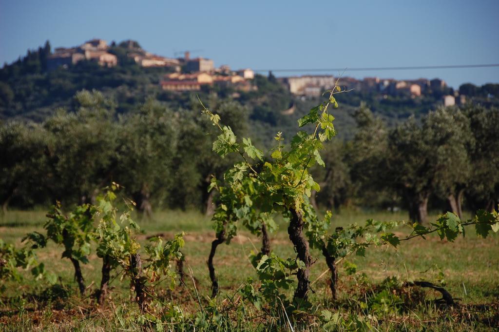 Agriturismo Quattro Pini Castagneto Carducci Exterior foto